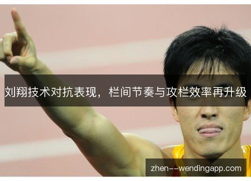 刘翔技术对抗表现，栏间节奏与攻栏效率再升级